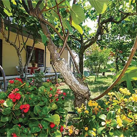 Cozy In With Kitchen Apartment Porec