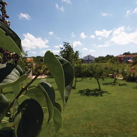 Piantade Cr Apartman *