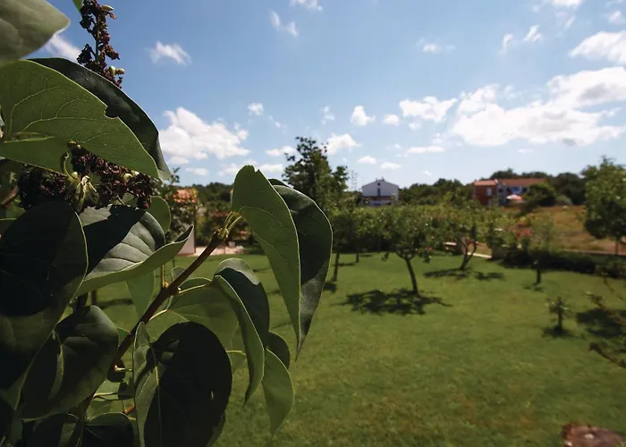 Piantade Cr 아파트 *